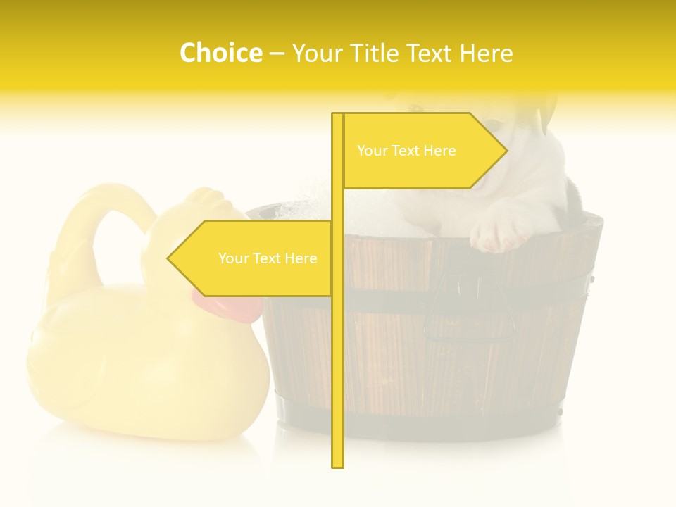 Small Washtub Pedigree PowerPoint Template