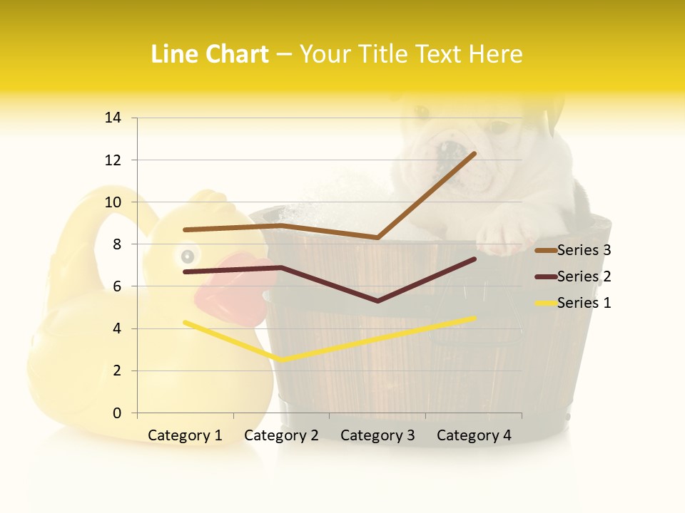 Small Washtub Pedigree PowerPoint Template