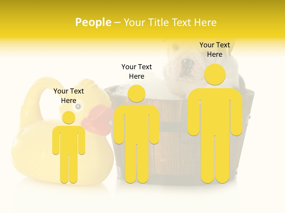 Small Washtub Pedigree PowerPoint Template