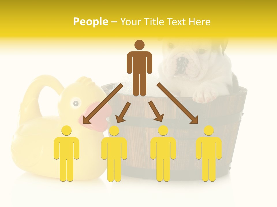 Small Washtub Pedigree PowerPoint Template