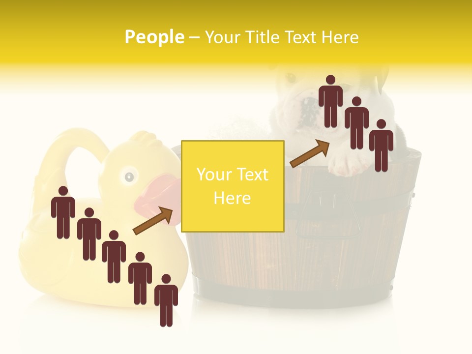 Small Washtub Pedigree PowerPoint Template