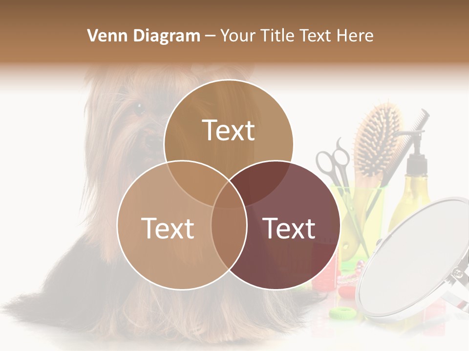 Scissors Happiness Items PowerPoint Template