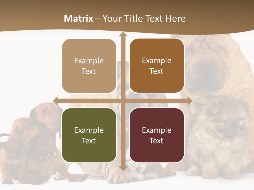 Shar Pei Mammal Background PowerPoint Template