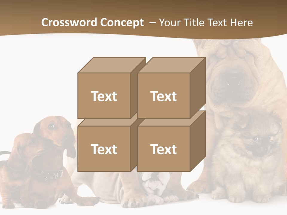 Shar Pei Mammal Background PowerPoint Template