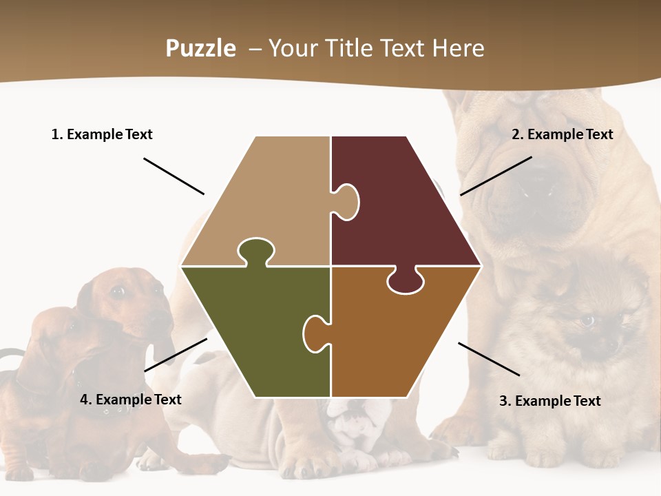 Shar Pei Mammal Background PowerPoint Template