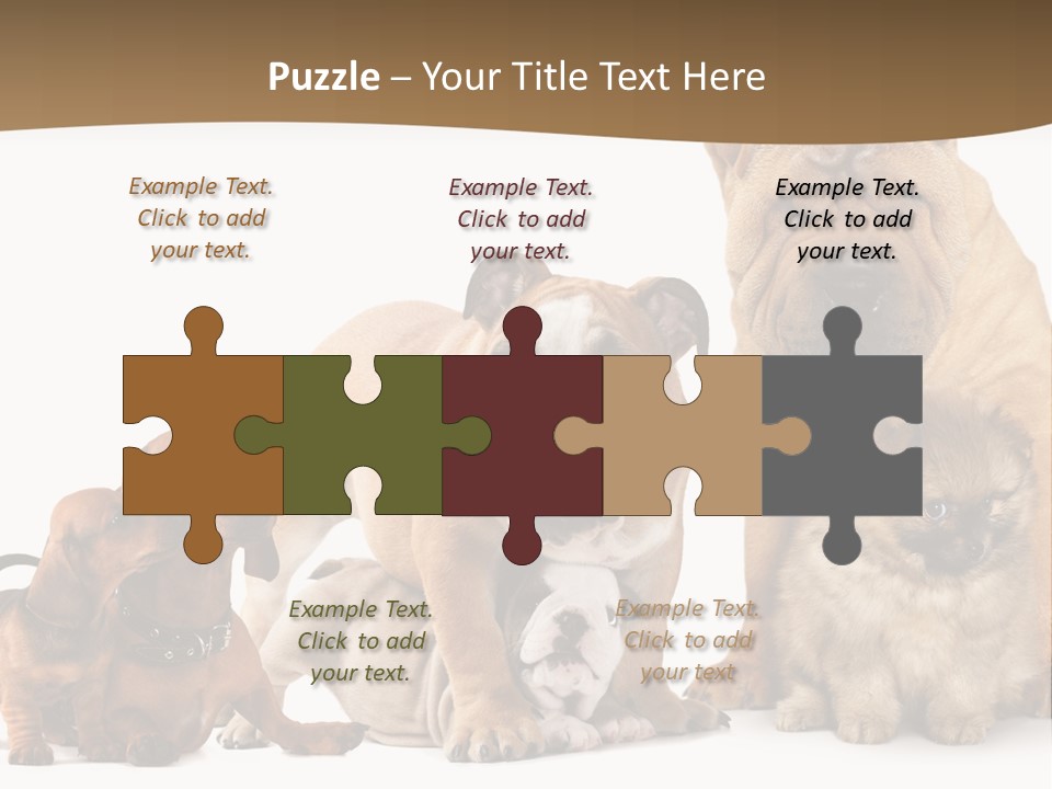 Shar Pei Mammal Background PowerPoint Template
