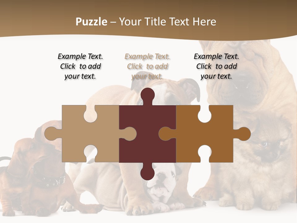 Shar Pei Mammal Background PowerPoint Template