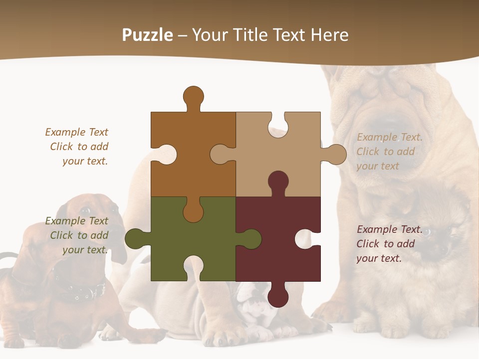 Shar Pei Mammal Background PowerPoint Template