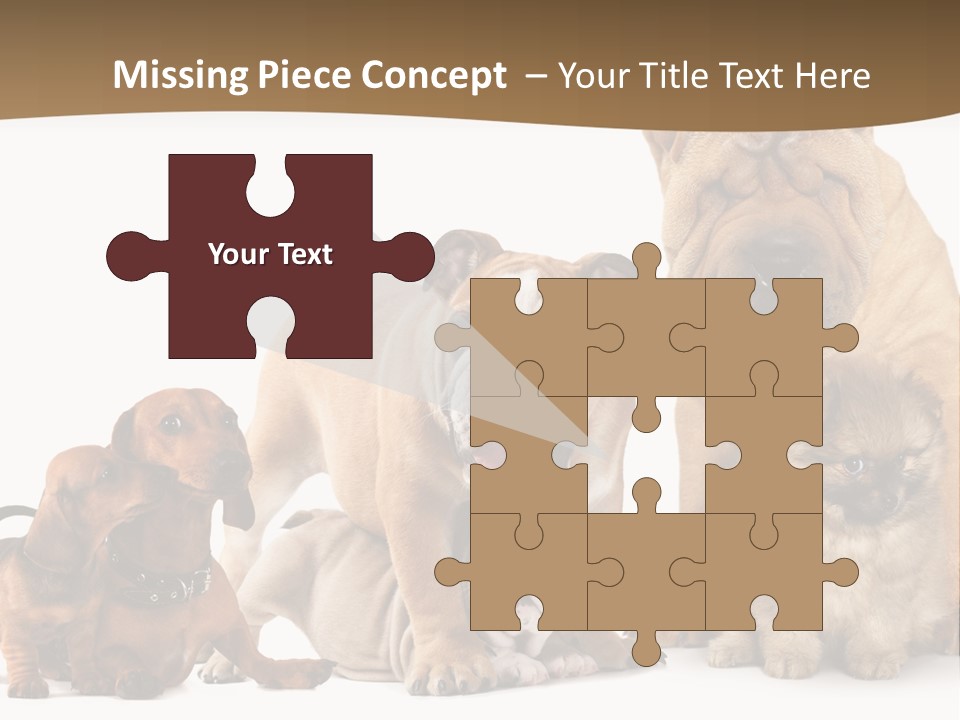 Shar Pei Mammal Background PowerPoint Template