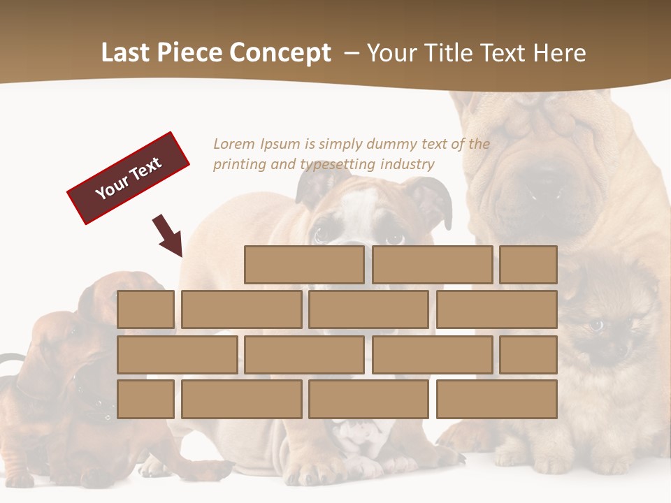 Shar Pei Mammal Background PowerPoint Template