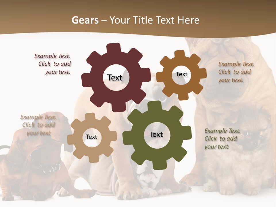 Shar Pei Mammal Background PowerPoint Template