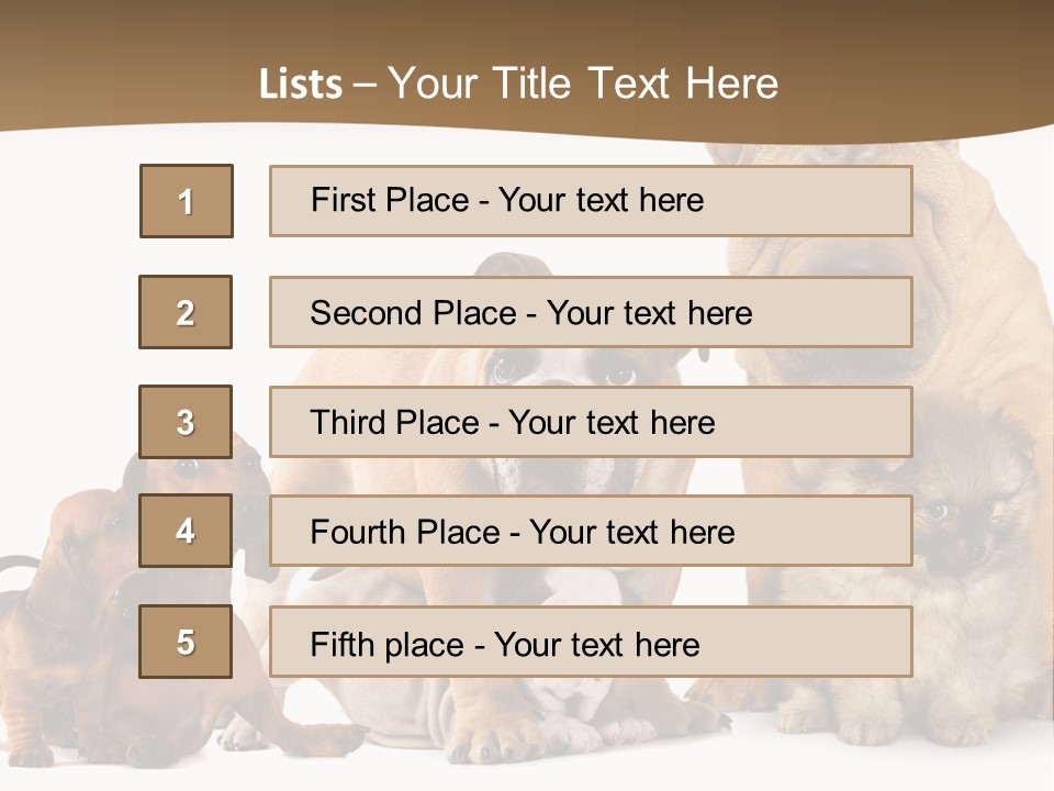 Shar Pei Mammal Background PowerPoint Template