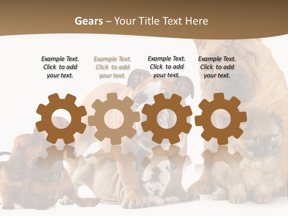 Shar Pei Mammal Background PowerPoint Template