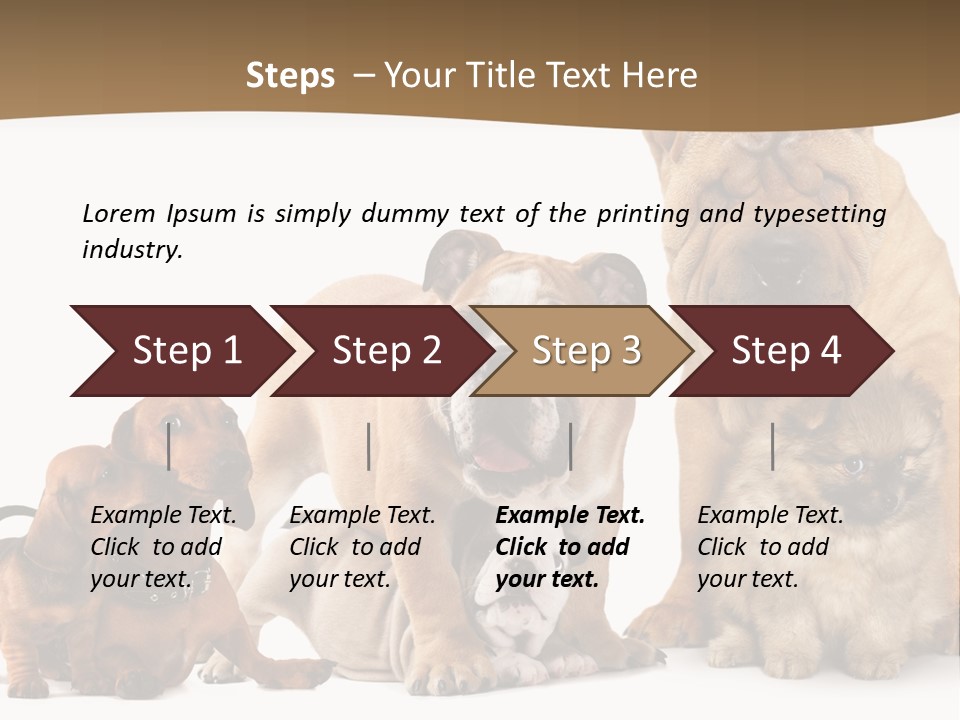 Shar Pei Mammal Background PowerPoint Template