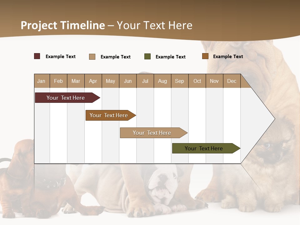 Shar Pei Mammal Background PowerPoint Template