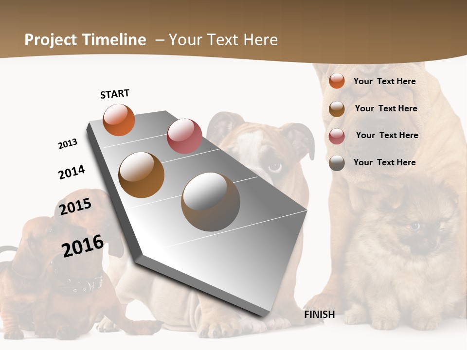 Shar Pei Mammal Background PowerPoint Template