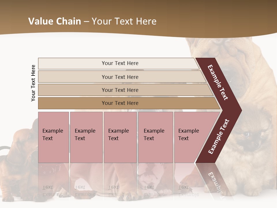 Shar Pei Mammal Background PowerPoint Template