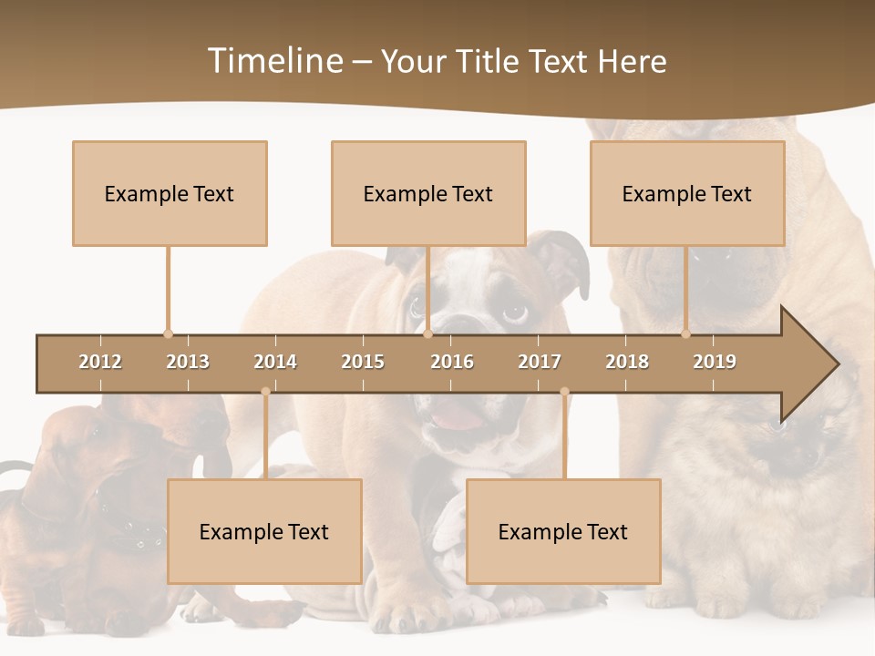Shar Pei Mammal Background PowerPoint Template