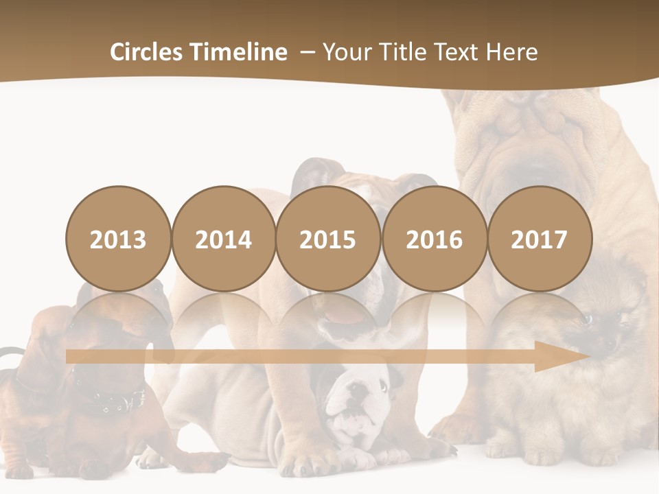Shar Pei Mammal Background PowerPoint Template