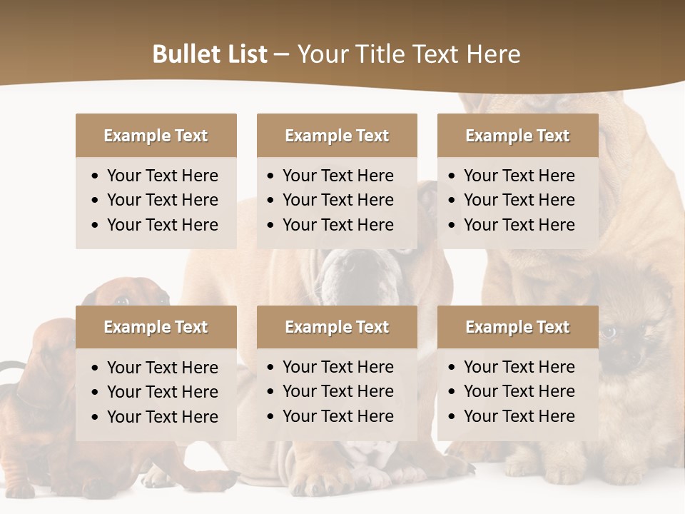 Shar Pei Mammal Background PowerPoint Template