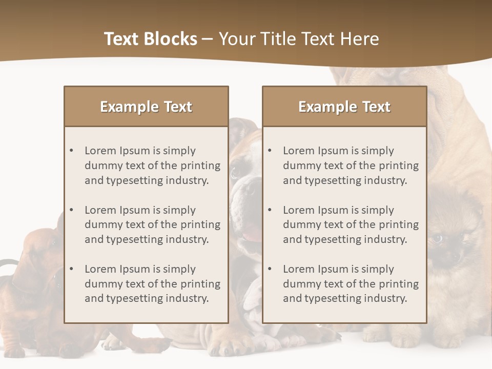 Shar Pei Mammal Background PowerPoint Template