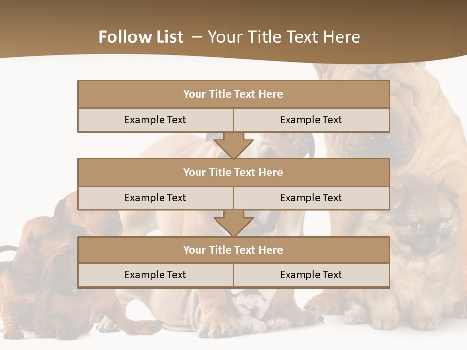 Shar Pei Mammal Background PowerPoint Template