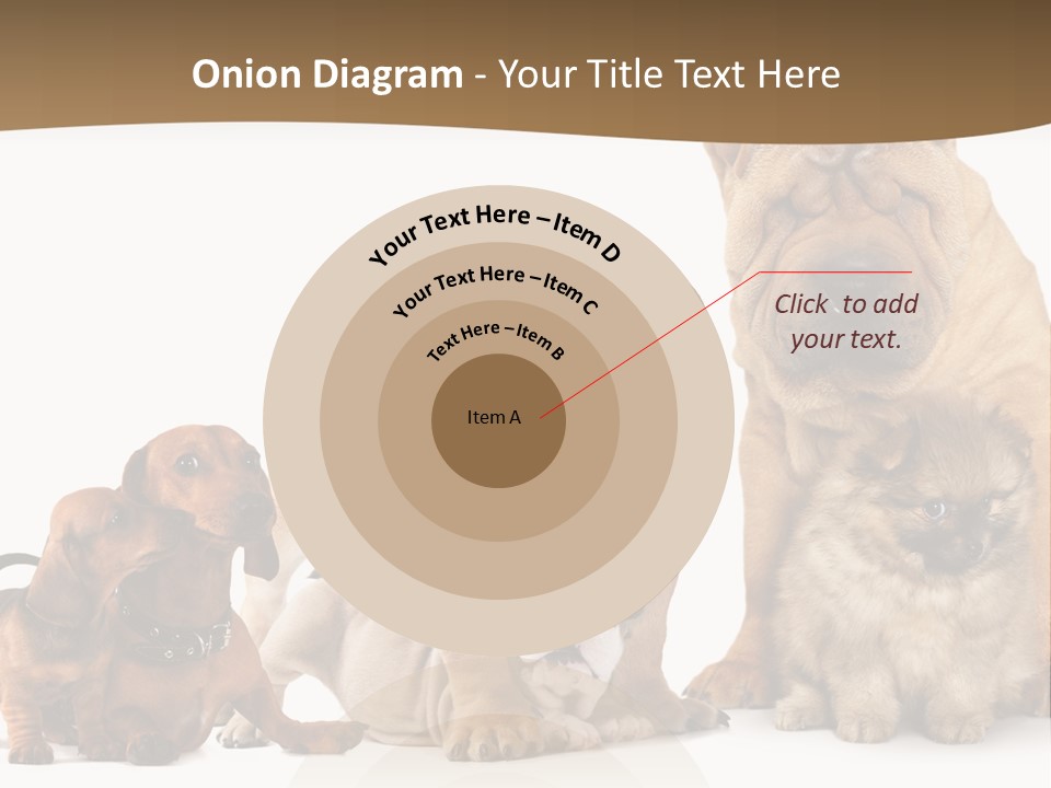 Shar Pei Mammal Background PowerPoint Template
