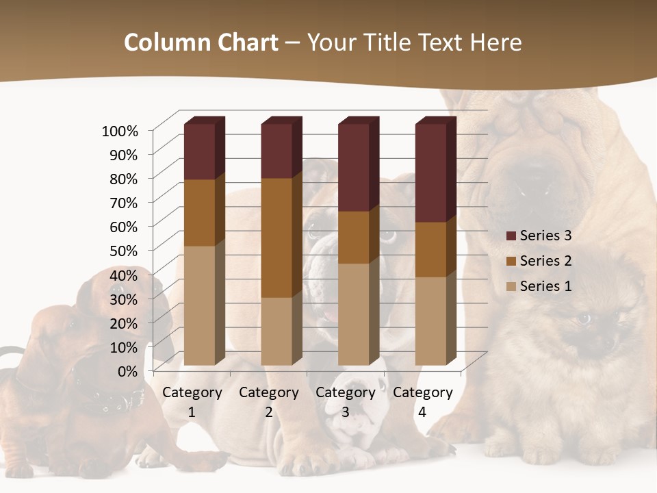 Shar Pei Mammal Background PowerPoint Template