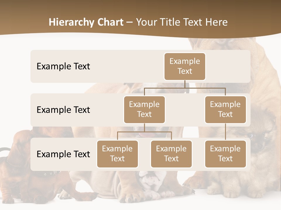 Shar Pei Mammal Background PowerPoint Template