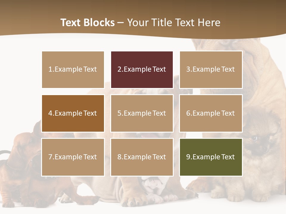 Shar Pei Mammal Background PowerPoint Template