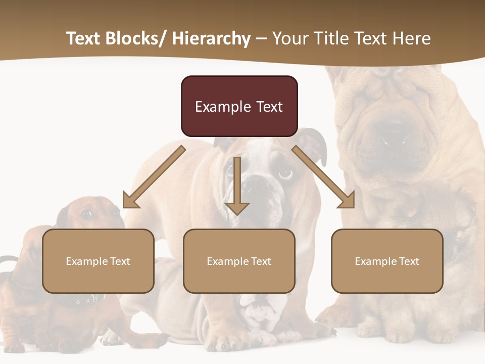 Shar Pei Mammal Background PowerPoint Template