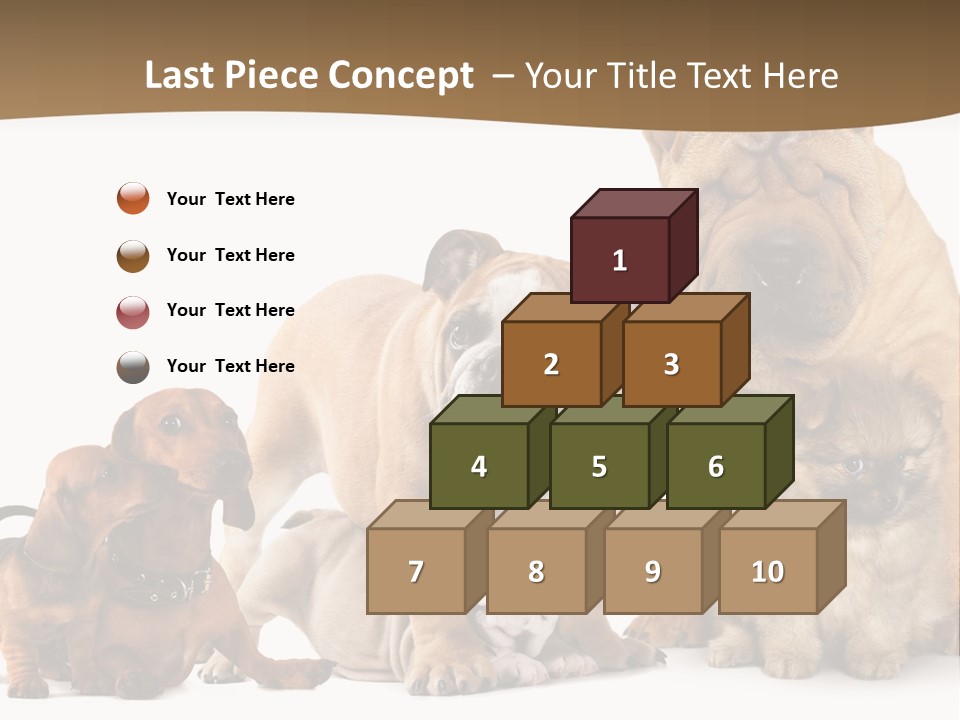 Shar Pei Mammal Background PowerPoint Template