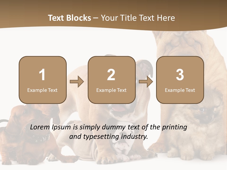Shar Pei Mammal Background PowerPoint Template