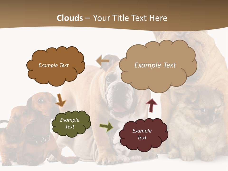 Shar Pei Mammal Background PowerPoint Template