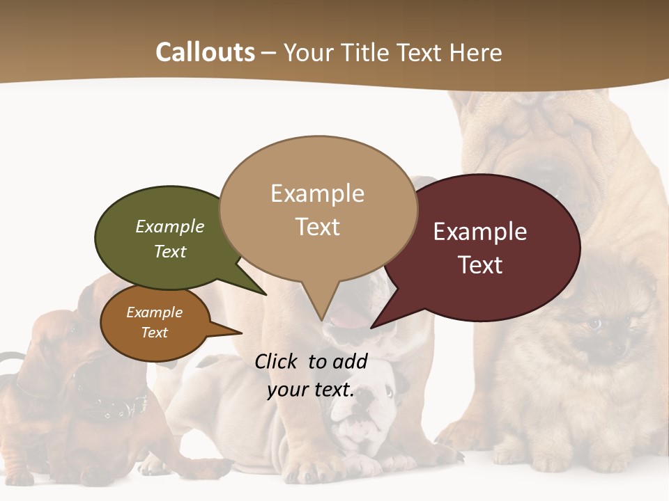 Shar Pei Mammal Background PowerPoint Template