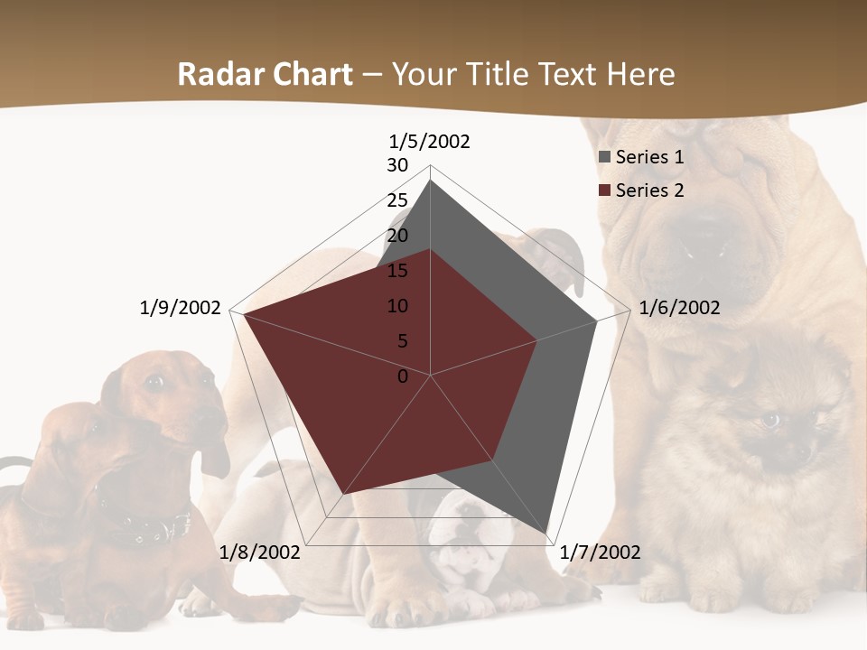 Shar Pei Mammal Background PowerPoint Template
