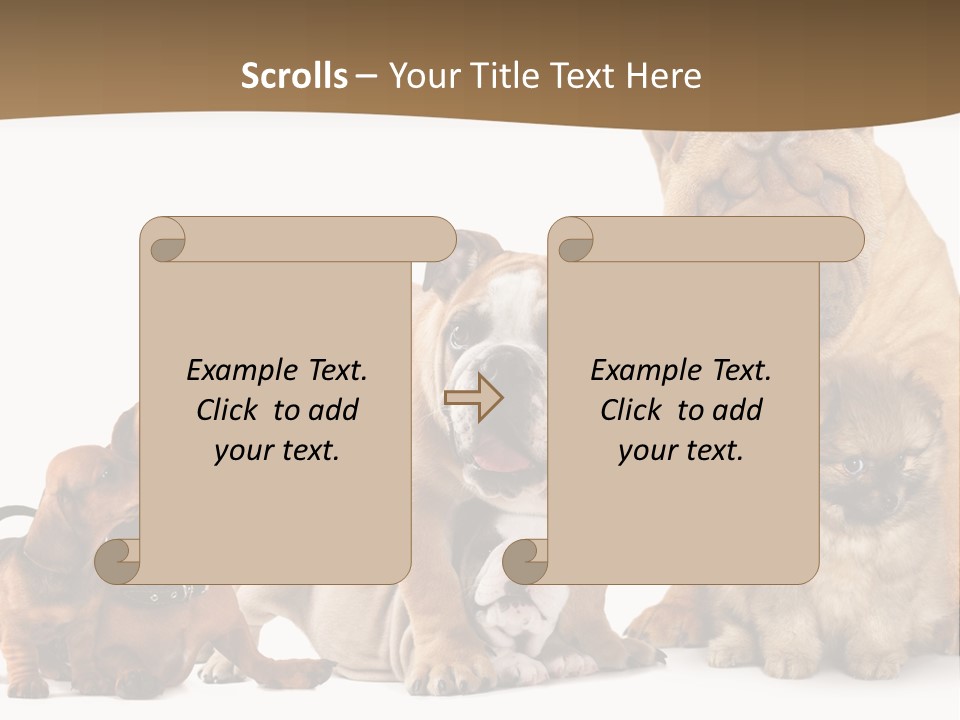 Shar Pei Mammal Background PowerPoint Template