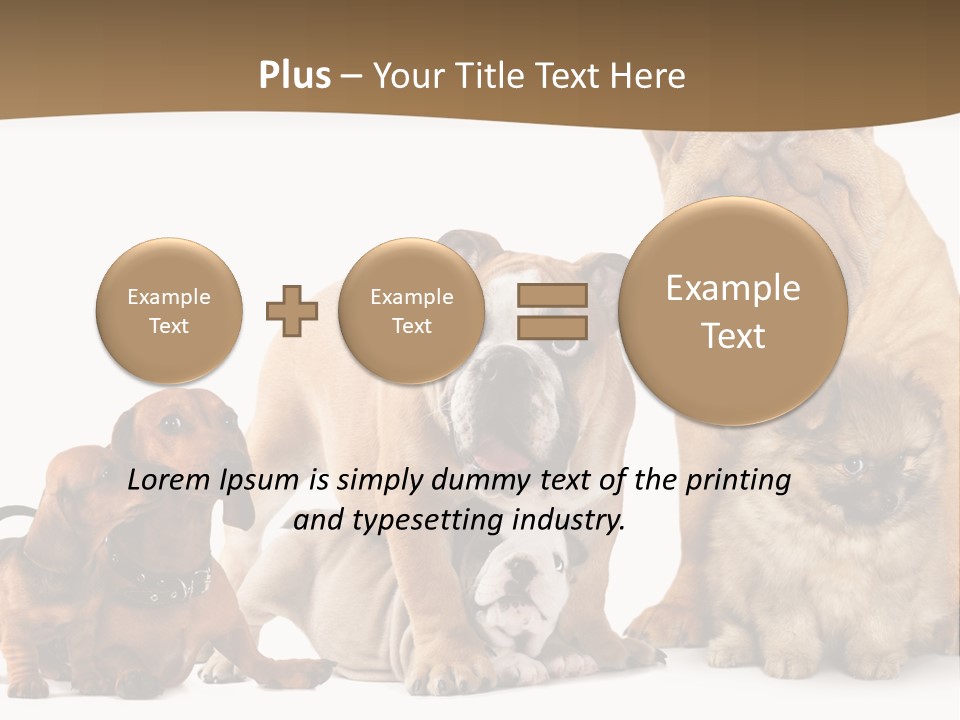 Shar Pei Mammal Background PowerPoint Template