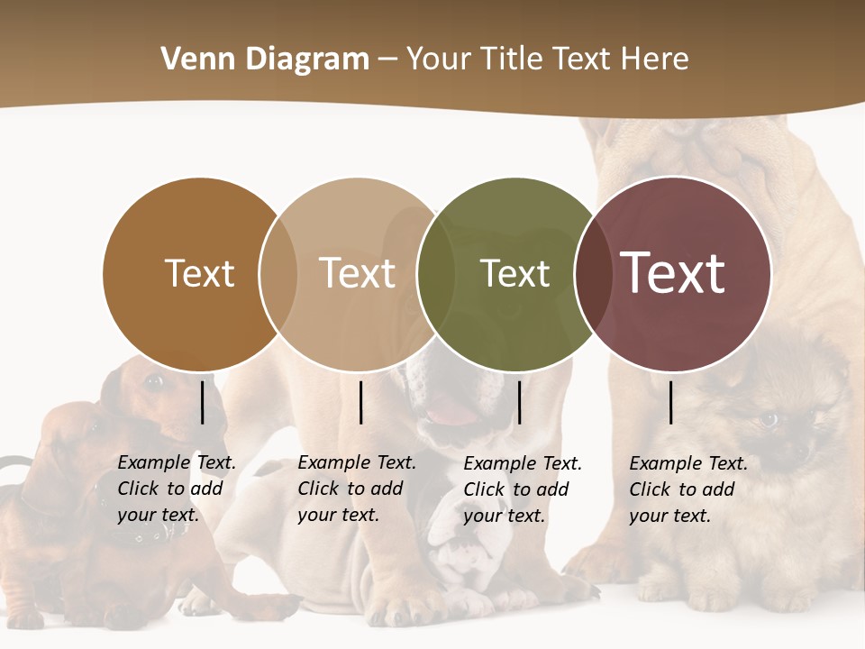 Shar Pei Mammal Background PowerPoint Template