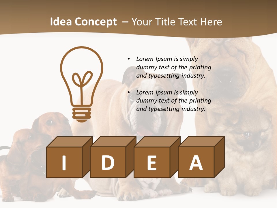 Shar Pei Mammal Background PowerPoint Template