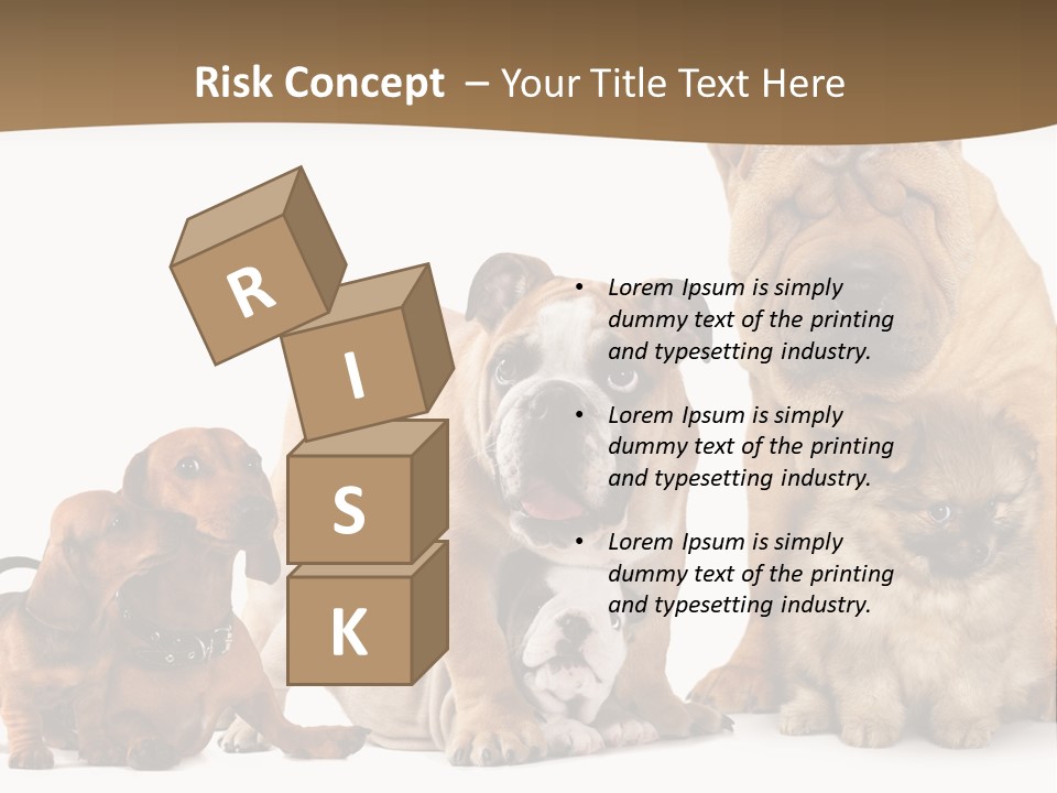 Shar Pei Mammal Background PowerPoint Template