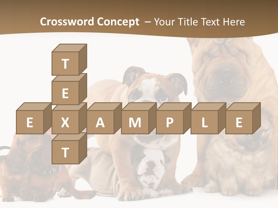 Shar Pei Mammal Background PowerPoint Template