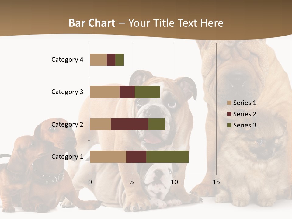 Shar Pei Mammal Background PowerPoint Template