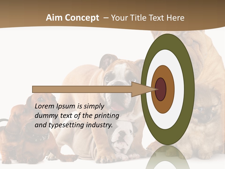 Shar Pei Mammal Background PowerPoint Template