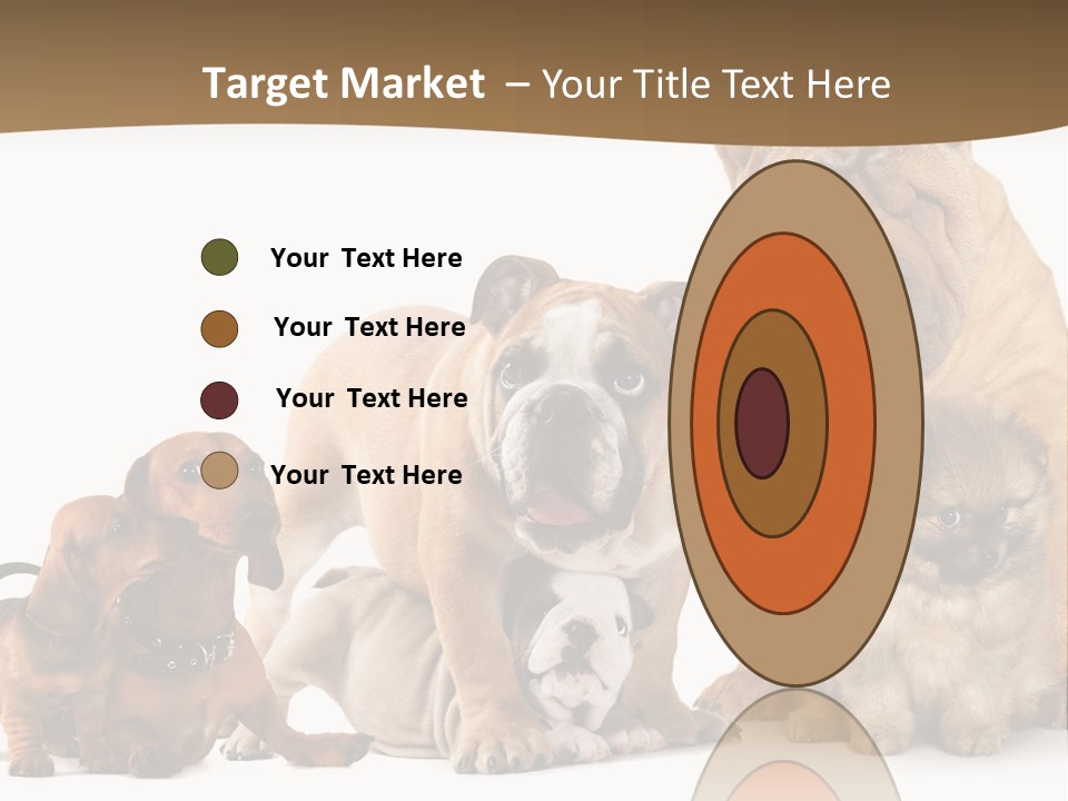 Shar Pei Mammal Background PowerPoint Template
