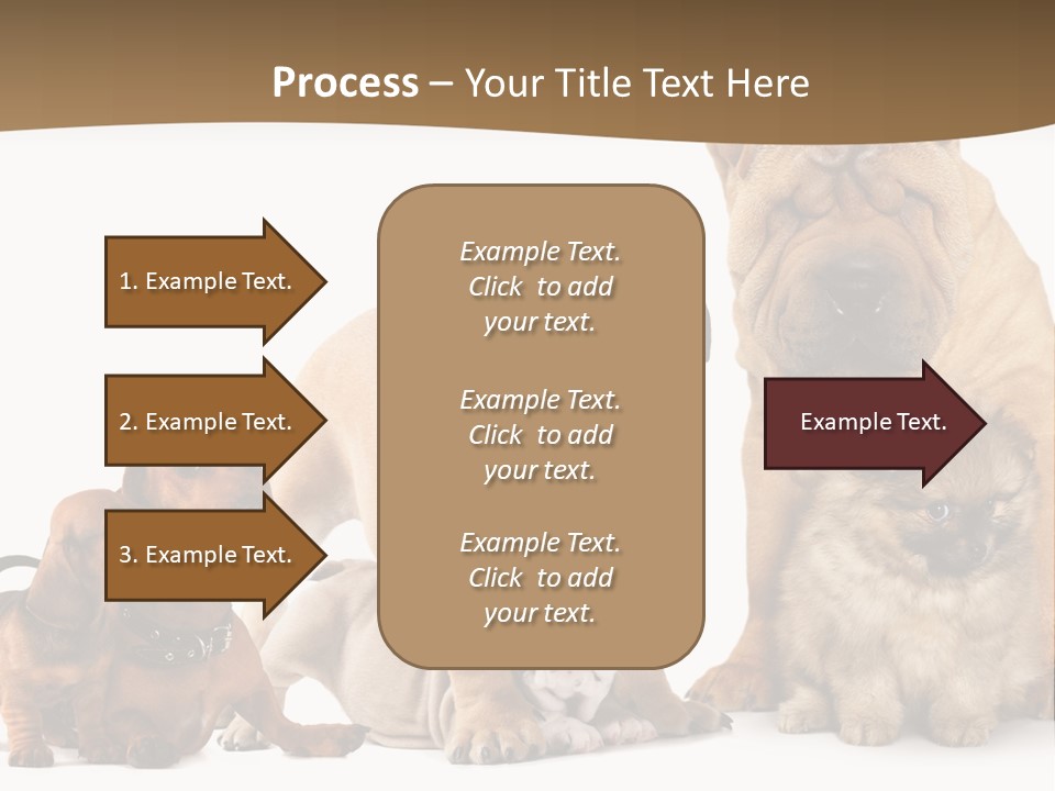 Shar Pei Mammal Background PowerPoint Template