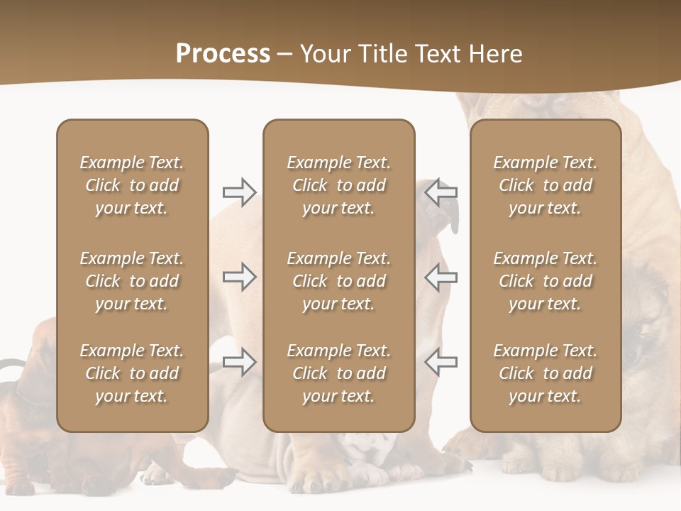 Shar Pei Mammal Background PowerPoint Template