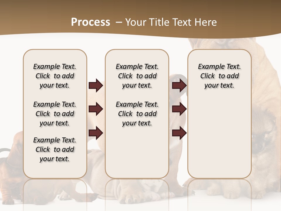 Shar Pei Mammal Background PowerPoint Template