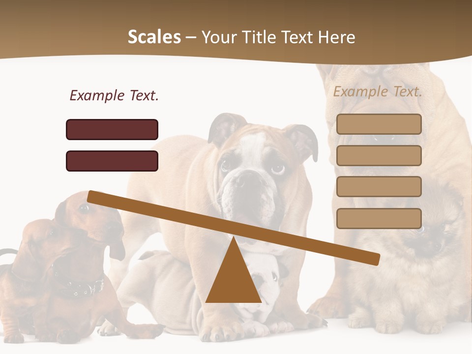 Shar Pei Mammal Background PowerPoint Template