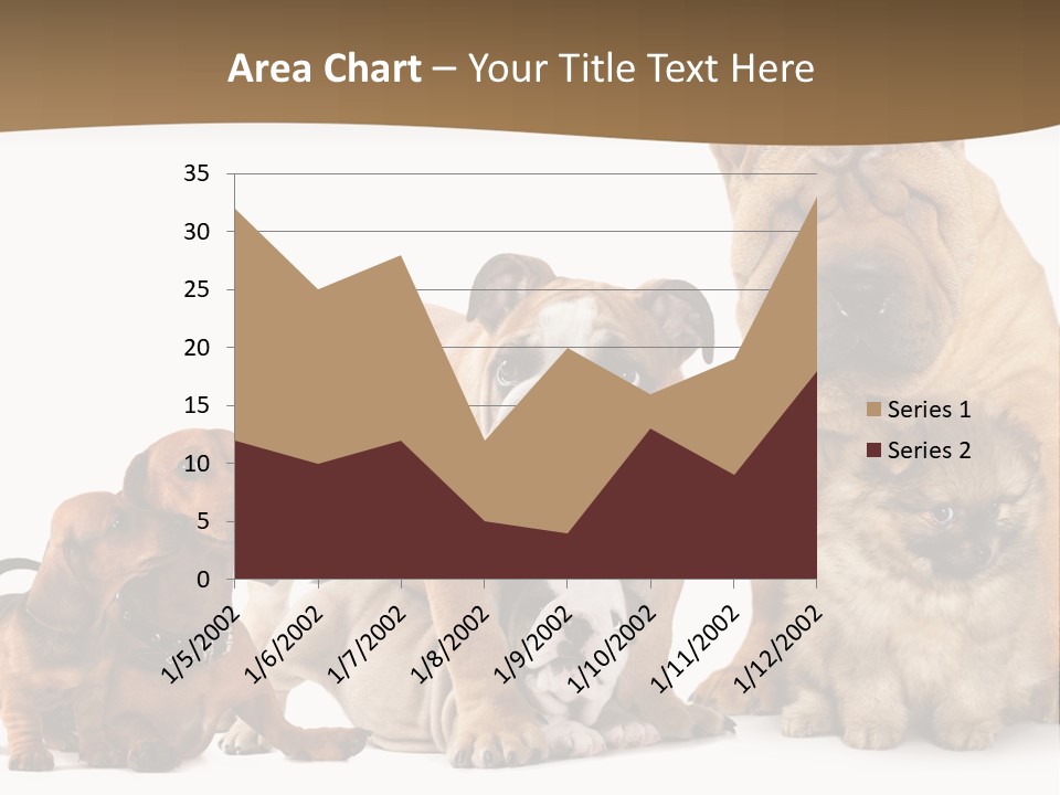 Shar Pei Mammal Background PowerPoint Template